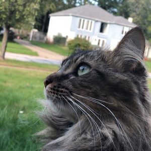 Meet your Posher, Jasmine